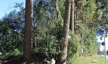 Imagem 6: Lote/Terreno para venda possui 455 metros quadrados em Jardim dos Estados 1 - Piraquara