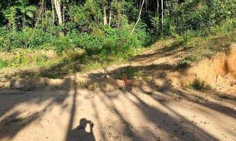 Imagem 5: Terrenos em Mury