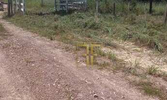 Imagem 2: Fazenda 160 Alqueires, Araguapaz, GO