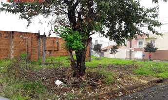 Imagem 7: LONDRINA - Terreno Padrão - ALPES