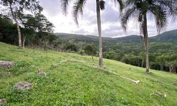 Imagem 5: SÍTIO EM RATONES COM 77.000 M2 DE TRANQUILIDADE!