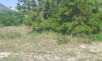 Imagem 2: 2 terrenos juntos frente leste