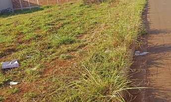 Imagem 4: Lotes Residencial Alice Barbosa