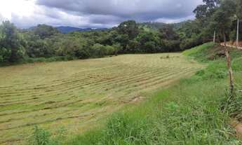 Imagem 3: Terreno 1000 mts² por 60 mil