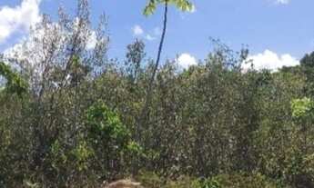 Imagem 7: TERRENO RESIDENCIAL em CAMAÇARI - BA, COQUEIROS DE AREMBEPE (ABRANTES