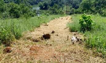 Imagem: Melhor terreno no interior