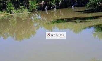 Imagem 3: Fazenda à venda, 1030 alqueires por R$ 70.000.000 - Zona Rural - Peixes/TO