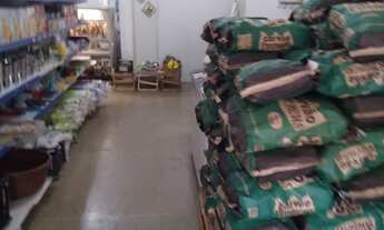 Imagem 5: Mercado completo