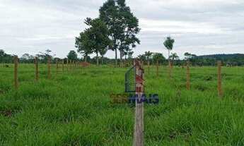 Imagem 2: Sítio com à venda, por R$ 855.000 - Sumaúma - Urupá/RO