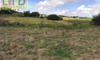 Imagem 5: VENDE-SE ótima CHÁCARA com 8,5 hectares