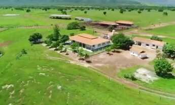 Imagem 6: Fazenda para Venda em Posse, Posse, 6 dormitórios, 3 suítes, 4 banheiros