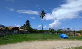 Imagem 2: AREA PARA INDUSTRIA, ACESSO AO arco METROPOLITANO .serve PARA: LOTEAMENTO , MINHA CASA MIN