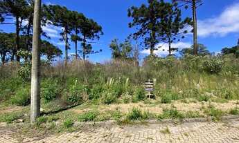 Imagem: CAXIAS DO SUL - Terreno Padrão - Século