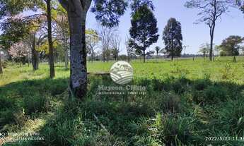 Imagem 7: Alto Paraíso - Sítio - 23 Alqueires Alto Paraiso