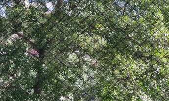 Imagem 4: Apartamento à venda, BROOKLIN, São Paulo, SP