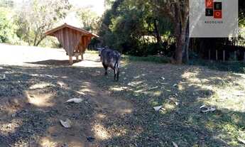 Imagem 7: Fazenda à venda, 532400 m² por R$ 2.900.000,00 - Zona Rural - Cambuí/MG