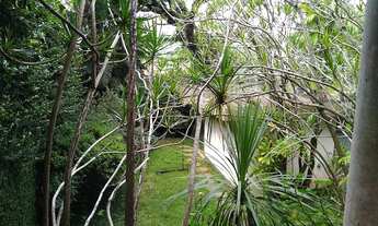 Imagem 5: São Paulo - Casa Padrão - Jardim Guedala
