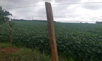 Imagem 6: 0portunidade: vendo excelente fazenda com 74 hectares, TERRA PARA PLANTIO DE SOJA