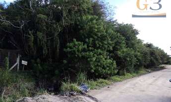 Imagem 3: Terreno residencial à venda, Laranjal, Pelotas