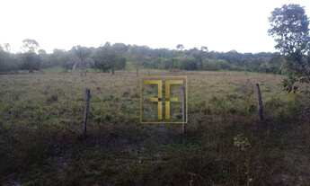 Imagem 4: Fazenda 160 Alqueires, Araguapaz, GO