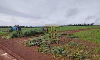 Imagem 3: Fazenda 850 Alqueires, Cristalândia, TO