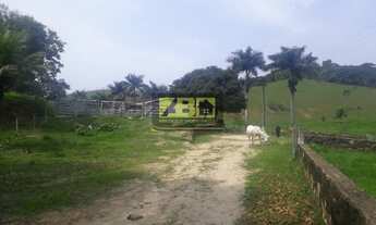 Imagem 4: Fazenda/Sítio/Chácara para venda com 435600 metros quadrados com 4 quartos