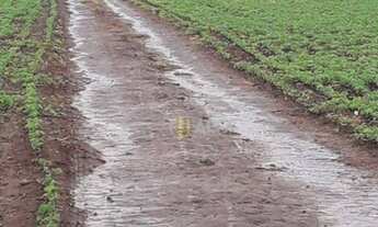 Imagem 7: Fazenda à venda, 105 alqueires por R$ 16.000.000 - Zona Rural Br381 - Careaçu/MG