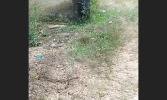 Imagem 4: Chácara para venda em Santo Antônio do Descoberto Goias divisa com Brasília