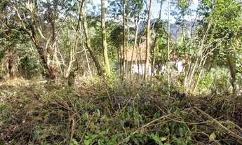 Imagem 3: Terreno à venda, 495 m² por R$ 165.000,00 - Cônego - Nova Friburgo/RJ