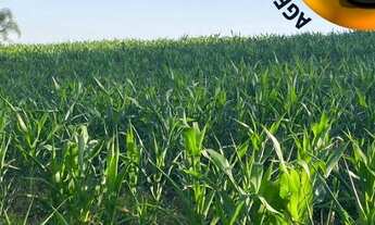 Imagem 5: Invista com lotes imperdíveis em Ibiúna - SP