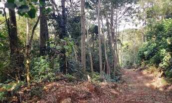 Imagem 5: Chácara com Riacho em Rolante, RS