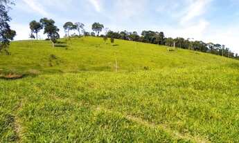 Imagem: Fazenda com 56 alqueires ou 1.350 mil m2