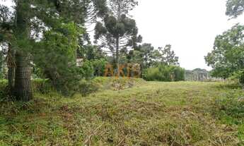 Imagem 7: CURITIBA - Terreno Padrão - Campo Comprido