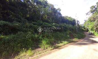 Imagem 2: CANELA - Terreno Padrão - Centro