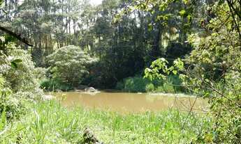 Imagem 2: Sítio para Venda em Bragança Paulista, Campo Novo, 3 dormitórios, 1 suíte, 2 banheiros