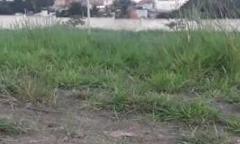 Imagem 2: Vendo um terreno no condomínio Reserva Central Park em Salto/SP