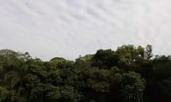 Imagem 4: CRICIÚMA - Apartamento Padrão - JARDIM DAS PAINEIRAS