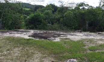 Imagem 7: Chácara 4000m², Muito Arborizada, Energia, Local Agradável, Entre Guapó/Aragoiânia