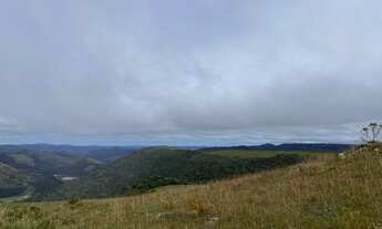 Imagem 6: Área Rural com 166,83ha de área total, para venda. Vacas Gordas, Urubici (SC