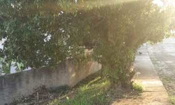 Imagem 4: Terreno 475,80 m² no bairro Comerciário em Criciúma