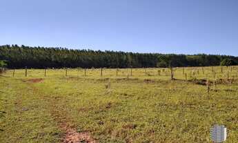 Imagem 7: Sítio para Venda em Bauru, Rural, 2 dormitórios