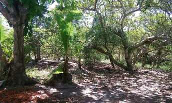 Imagem 6: Sítio em Salinas-BA 120.000 m² e Sobrado em área urbana 2.880m²