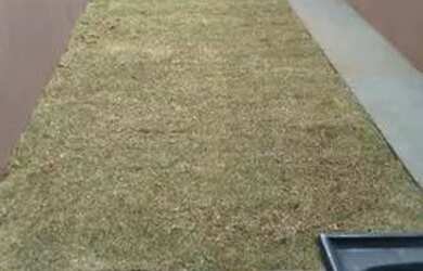 Imagem 2: Casas na Nova Campo Grande - 3 Quartos 2 Banheiros