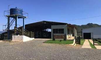 Imagem 6: Campo Largo, 52 alq, 125 ha, Haras, gado ou reflorestamento