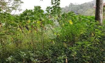 Imagem 6: Terreno Residencial Venda -Ótima localização, 521 m²- Barro Branco- São Paulo/SP