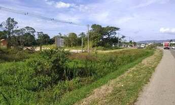 Imagem 4: Terreno BR 101 Lote Comercial 2275m² - Balneário Piçarras
