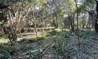 Imagem 3: Sítio Com Entrada De 4.900 E Parcelas De 650. ROB:756