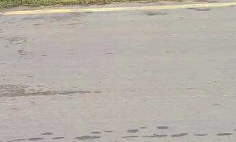 Imagem 2: Terreno em Monte gordo