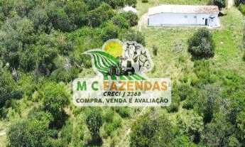 Imagem 7: Fazenda à Venda em Marcionilio Souza - Bahia | As Margens do Rio Paraguaçu