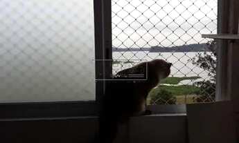 Imagem 4: Apartamento de 50m2 com 2 dorms no Socorro